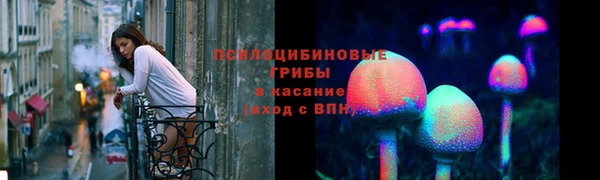 хмурый Ладушкин