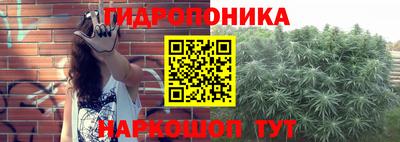 сатива Братск