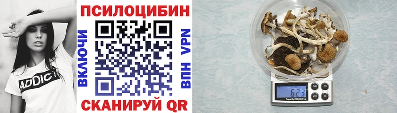 Псилоцибиновые грибы Psilocybine cubensis  Салават 