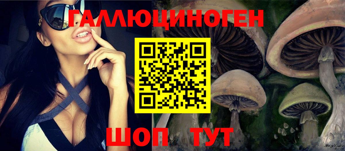 Галлюциногенные грибы ЛСД  даркнет сайт  Галлюциногенные грибы Psilocybe  Салават  Вход с VPN 