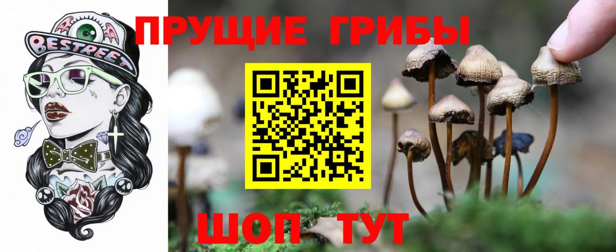 Галлюциногенные грибы GOLDEN TEACHER Салават